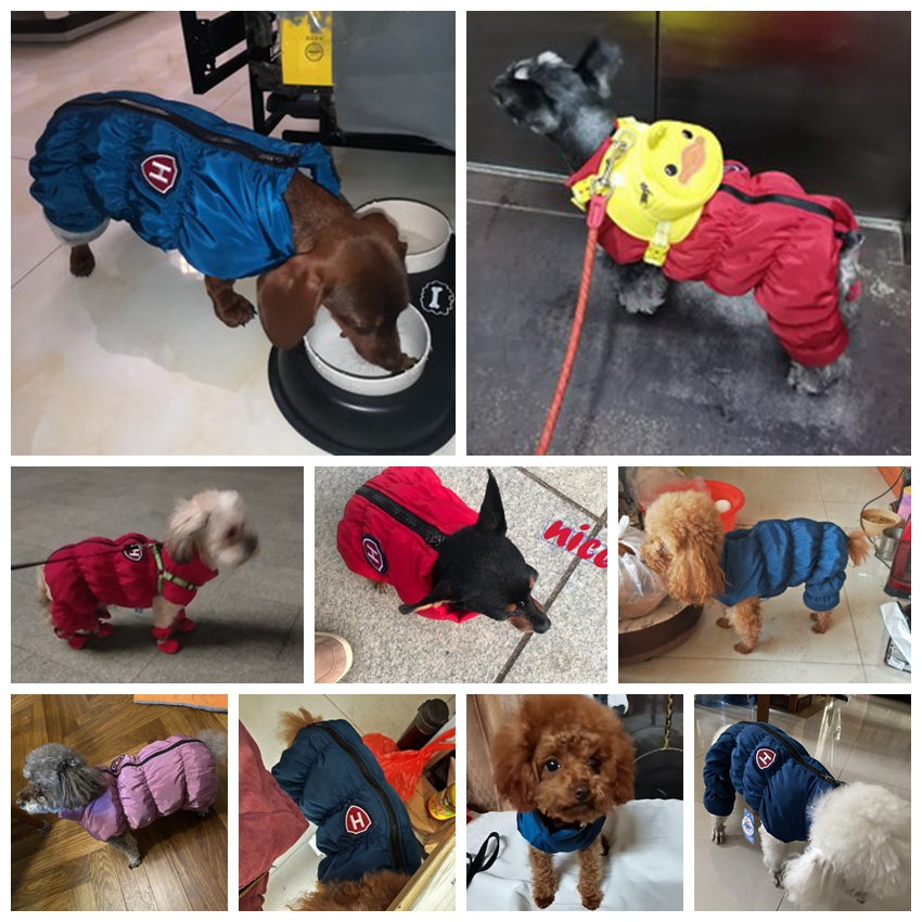 Zipper Snow Unisex Dog Waterpr - Baby Clothing Winter review and price